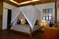 Dive into Lembeh at Hairball Resort - bungalow accommodation.